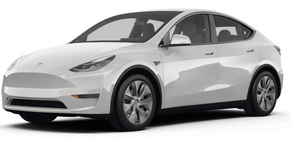 TESLA MODEL Y 2024 7SAYGDEE7RA232832 image